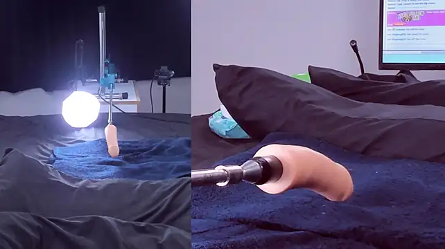 Ely_foxy