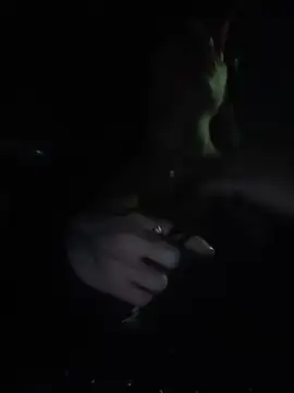 Lila_Desiree - Nipple clamps + blowjob