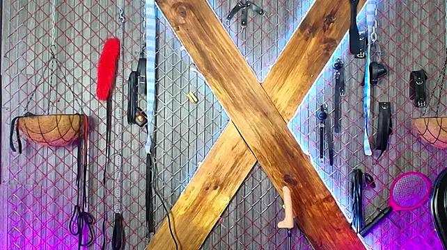 Stefany_slave_bdsm - TASER ON TITS + CLIT X2