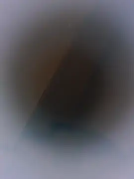 01Wetlips - 3 fingers in my pussy