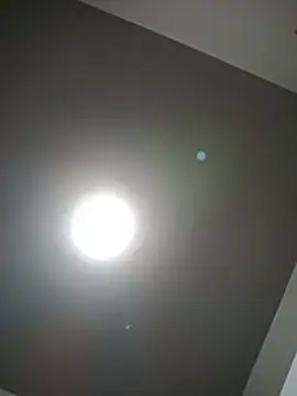 Su_Duarte_1 - Bounce dildo /quicar dildo