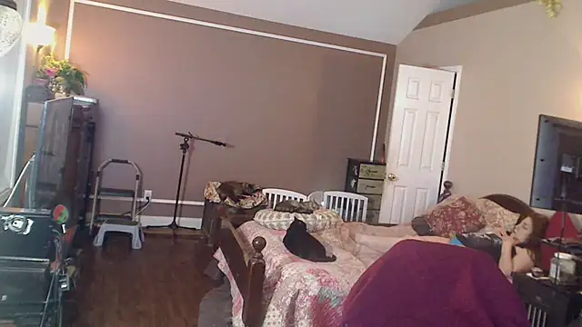 Ireallysquirt - ✨✨PUSSY FLASH ✨✨