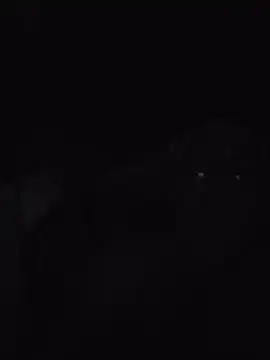 Chanelsexx