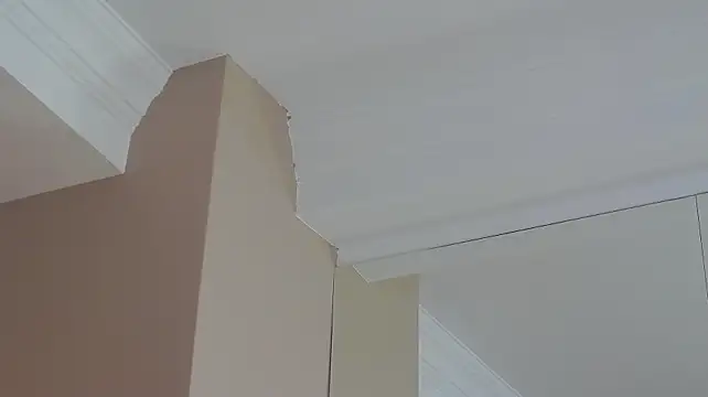 Kimberlly_Bell - LastTipper gets 10 minutes toy control