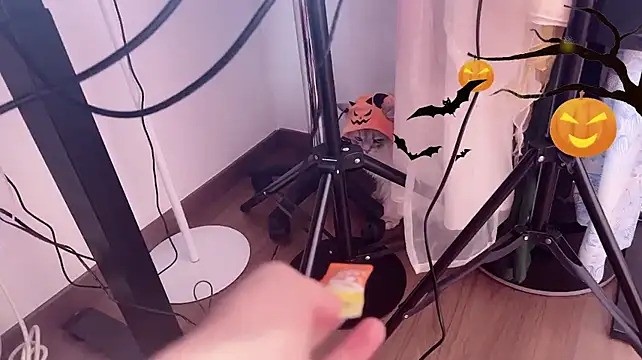 Babykitty- - 今天是你的可爱鬼