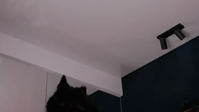 AdelynnReeds - 🔥🍆Doggyfuck with dildo🍆🔥