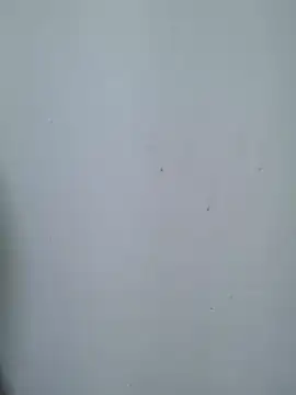 Cute_Kavya7