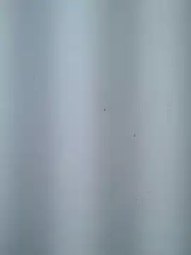 Cute_Kavya7
