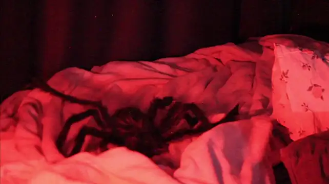 RileyNymph - PUSSY CLOSE and full of CUM + 10 min
