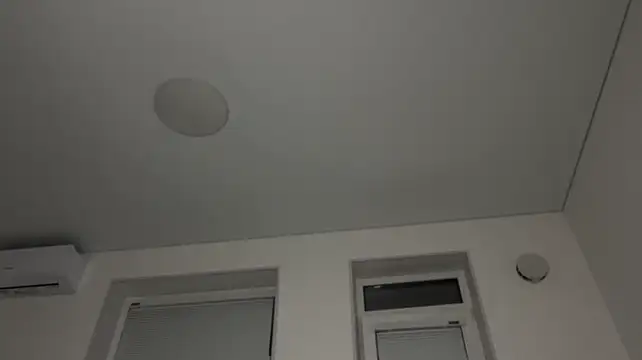 Mo1ly