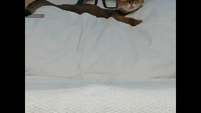ElunorLIve - finger inside my tight pussy