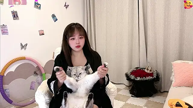 SakuraCat6 - 🐱🐱🐱