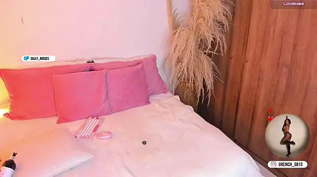 Sally_rosses - plug anal