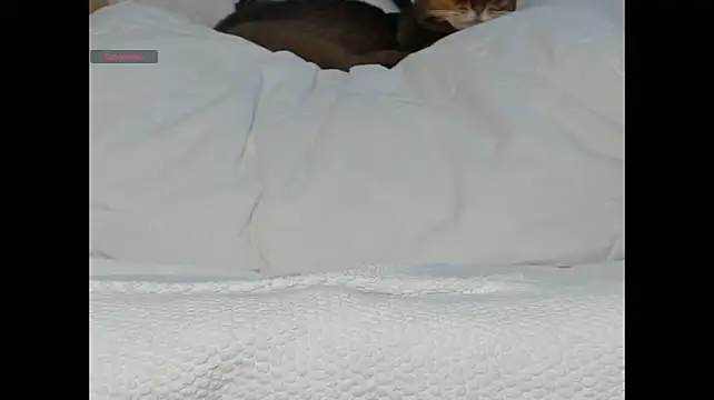 ElunorLIve - finger inside my tight pussy