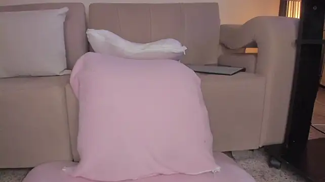 Secret_chells