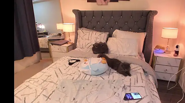 Mysteriouscat25 - stripdance speadass fingerpussy 5 min