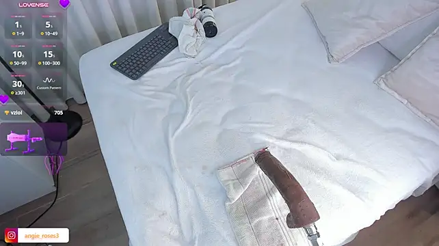 Angiee_roses